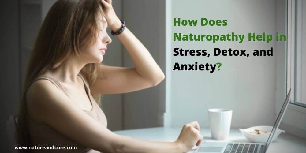 Naturopathy in Stress, Detox & Anxiety