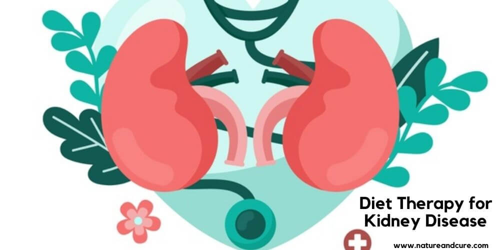 Diet Therapy for Kidney Disease - Nature and Cure