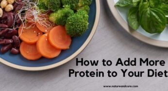 How to Add More Protein to Your Diet?