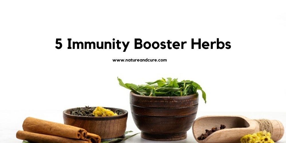 Immunity Booster Herbs
