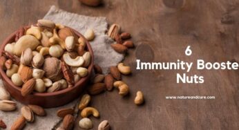 6 Immunity Booster Nuts: Add to your Diet to Stay Fit and Healthy