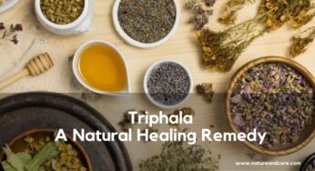 Triphala: A Natural Healing Remedy