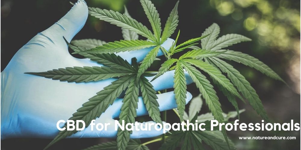 CBD for Naturopathic Professionals