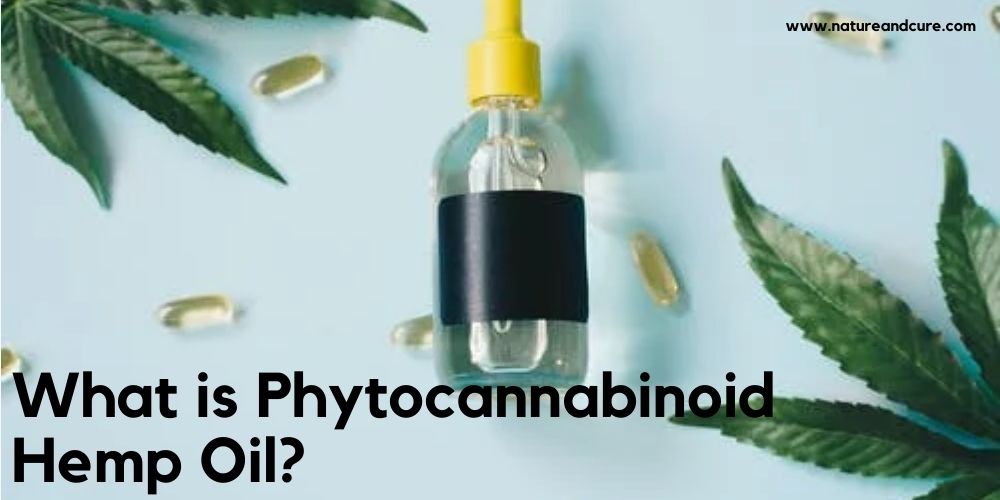 Phytocannabinoid Hemp oil