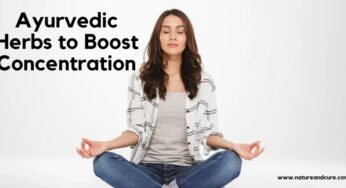 Ayurvedic Herbs to Boost Concentration