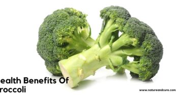 Health Benefits of Broccoli