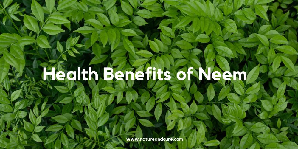 8 Health Benefits of Neem Nature & Cure