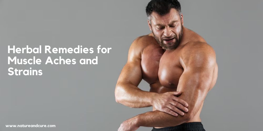 Herbal Remedies for Muscle Aches and Strains