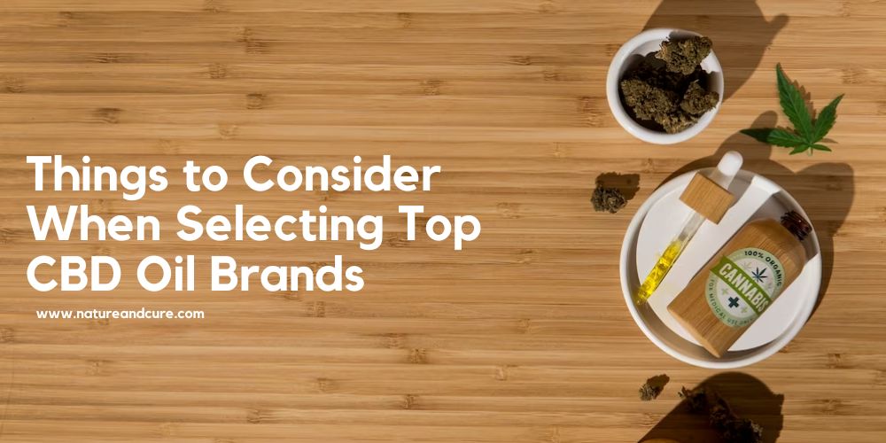 top CBD brands