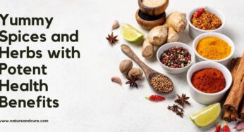 Yummy Spices and Herbs with Potent Health Benefits