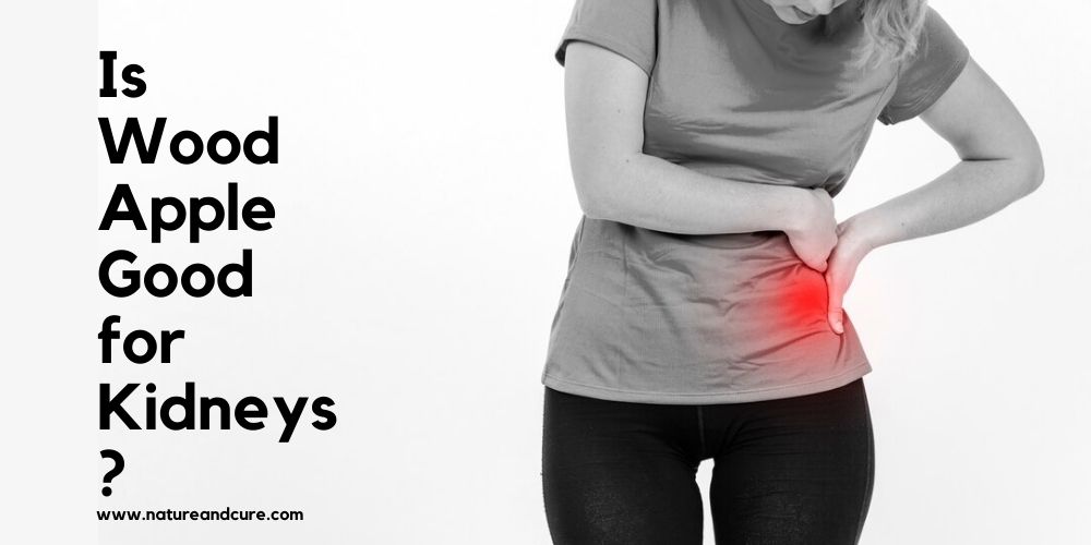 Is Wood Apple Good for Kidneys