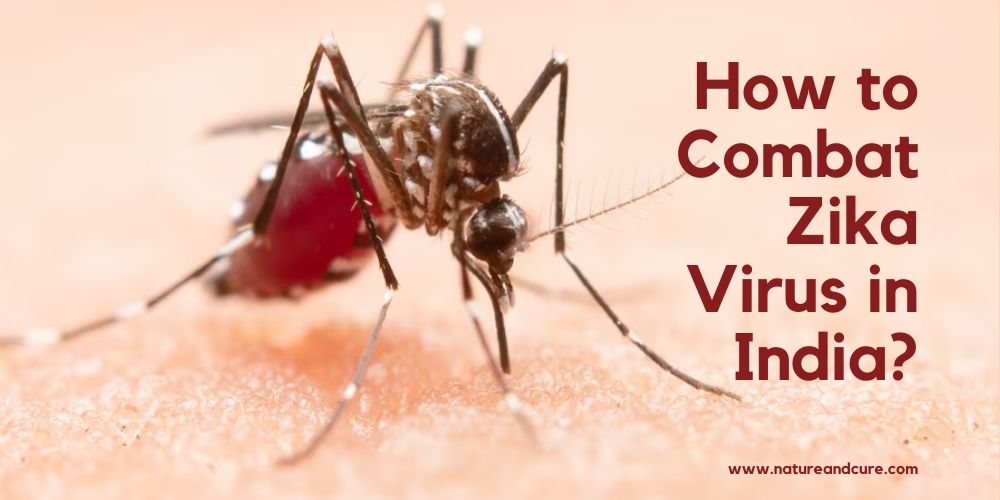 zika virus