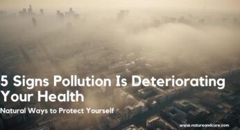 5 Signs Pollution Is Deteriorating Your Health